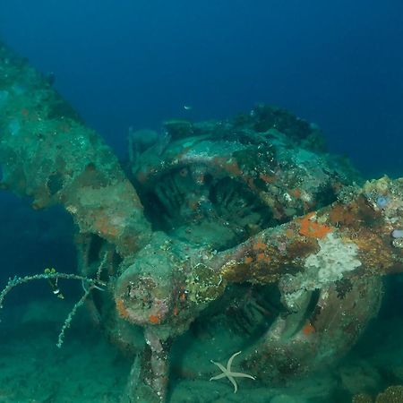 Araya Dive Resort Togean Bomba Exteriör bild