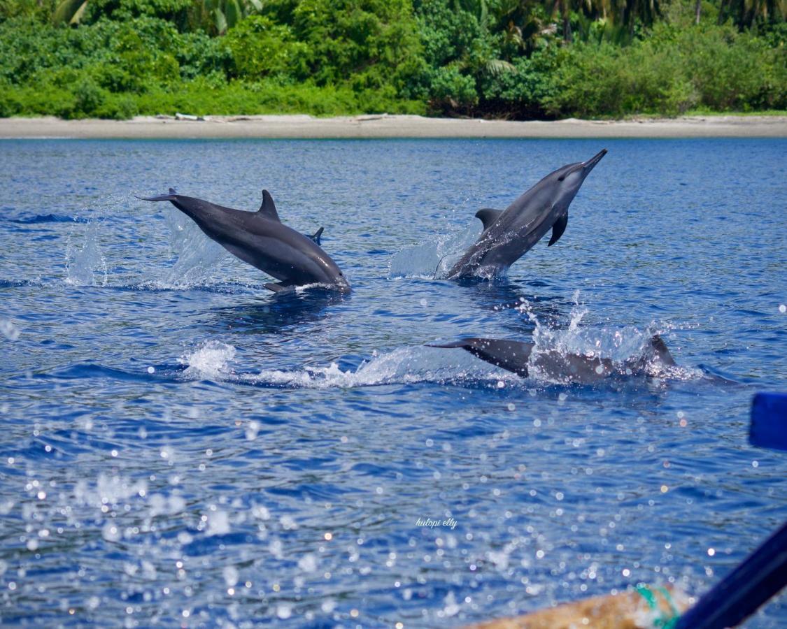 Araya Dive Resort Togean Bomba Exteriör bild