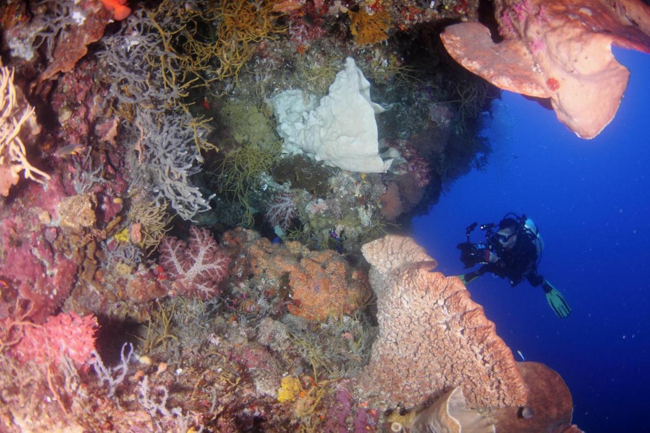 Araya Dive Resort Togean Bomba Exteriör bild