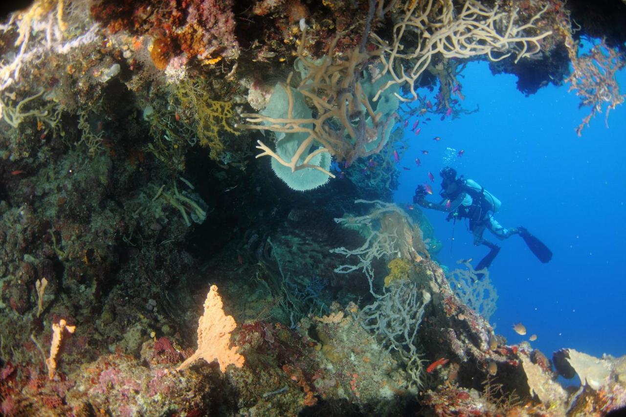 Araya Dive Resort Togean Bomba Exteriör bild
