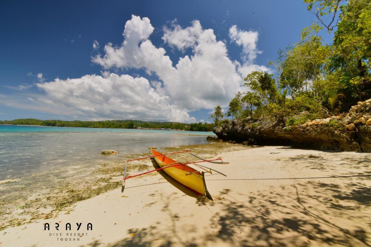 Araya Dive Resort Togean Bomba Exteriör bild
