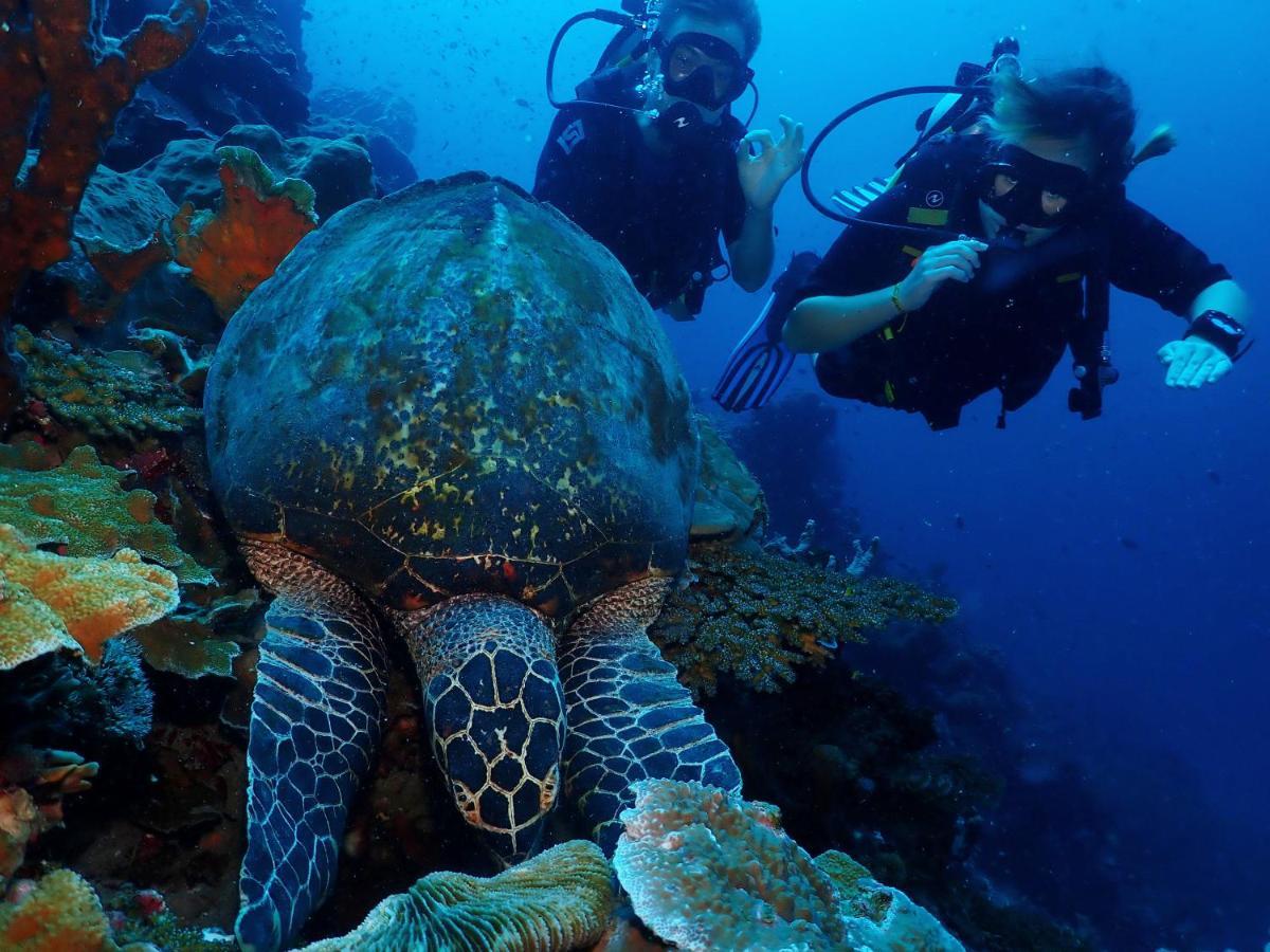 Araya Dive Resort Togean Bomba Exteriör bild