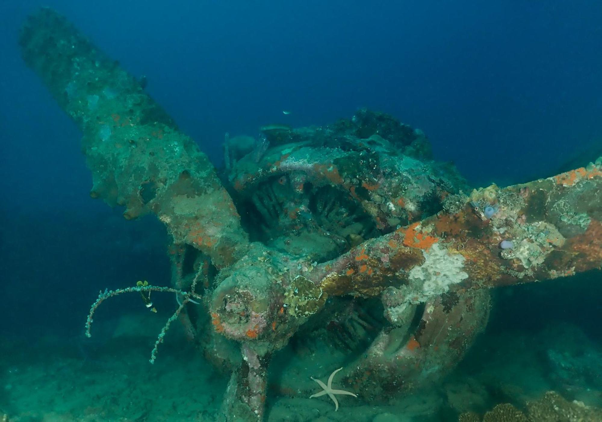 Araya Dive Resort Togean Bomba Exteriör bild